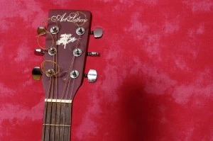 Acoustic guitar headstock. Acoustic guitar headstock