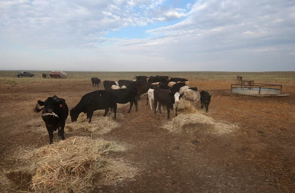 South Dakota Drought Drought worsens in midwest