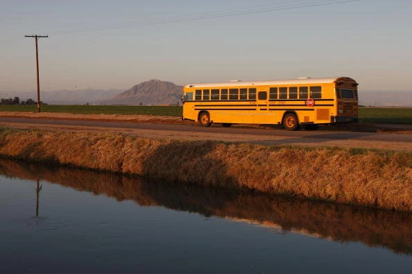 School Bus School Bus