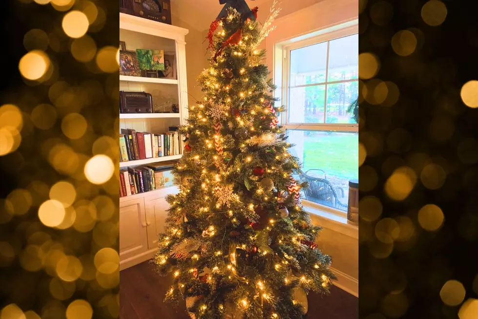 Confession: I Don’t Want to Take Down My Tree Quite Yet–Here’s Why