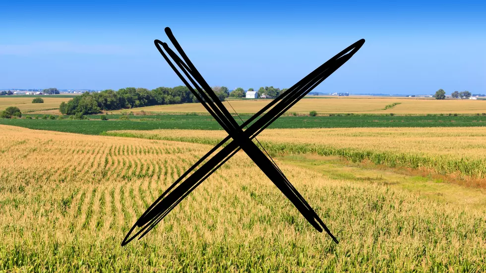 Illinois Has Lost Drastically More Farmland than Any Other State