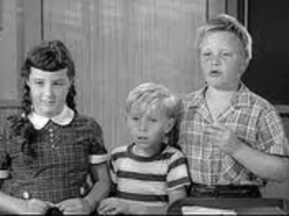 Do You Remember These Friends Of The Beaver?
