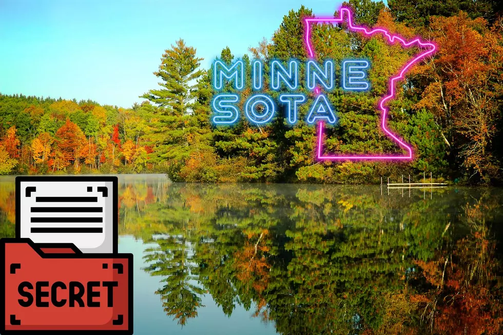 Mega Landownership: 4 Giants, 10.5M Acres in Minnesota