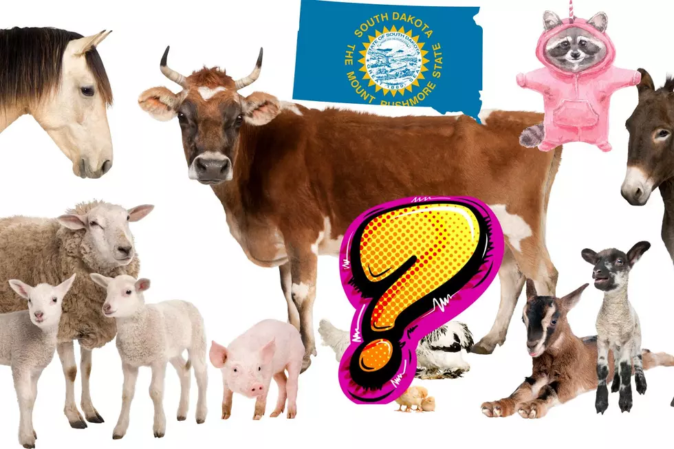 These Animals Are BANNED in All of South Dakota