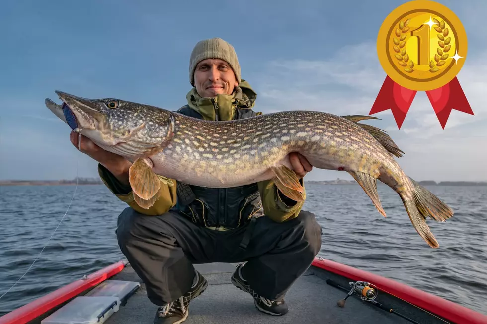 Biggest Fish Ever Caught in South Dakota?