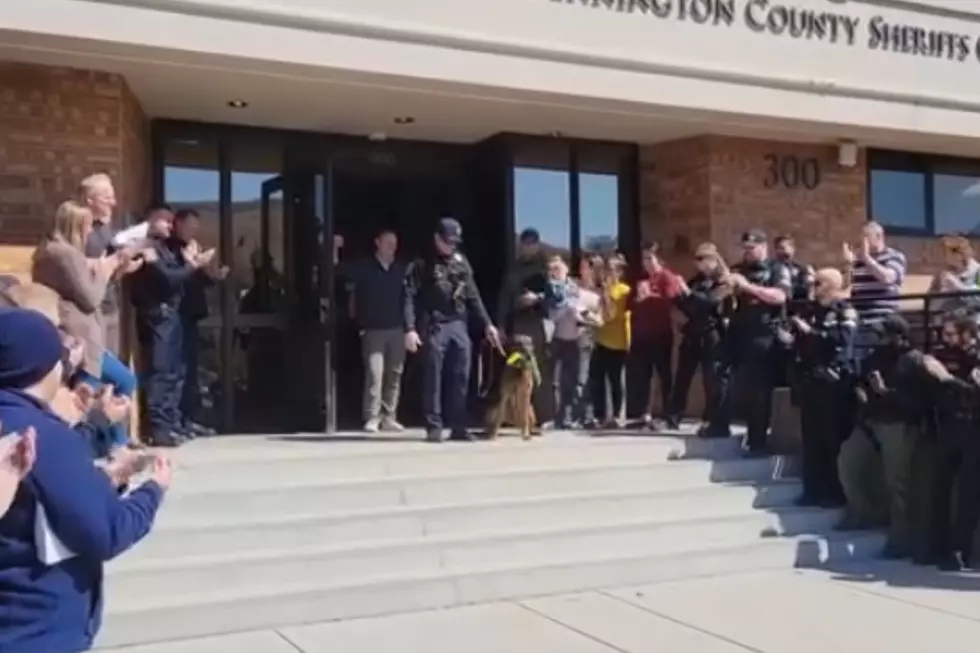 Good Boy! South Dakota K9 Max Gets An Epic Retirement Party